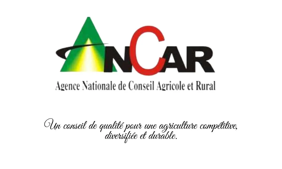 ANCAR lance un recrutement massif au Sénégal