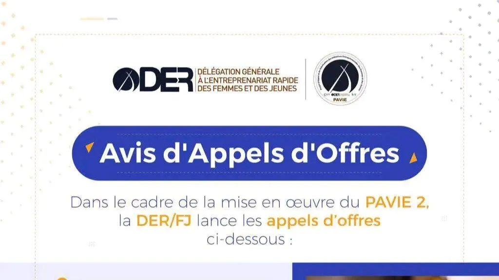 DER/FJ lance plusieurs appels d’offres – Programme PAVIE 2
