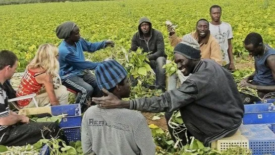Le Sénégal lance le Programme de migration circulaire Espagne–Sénégal 2026 pour les ouvriers agricoles