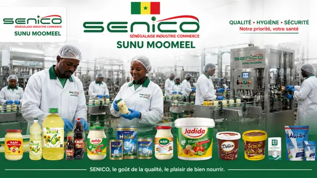 Candidature Spontanée chez SENICO SA
