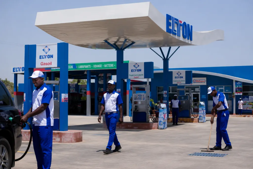 Elton recrute plusieurs profils