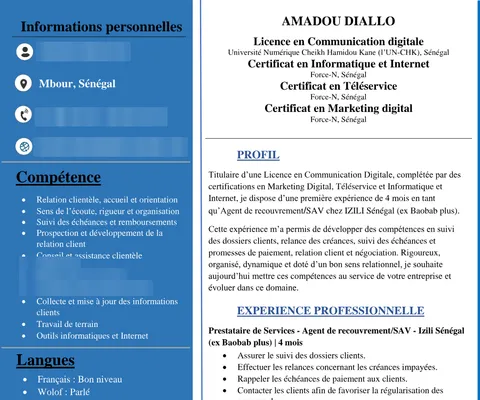CV de Amadou DIALLO, coordonnées masquées