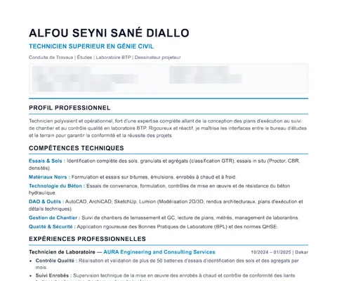 CV de ALFOU seyni sane Diallo, coordonnées masquées
